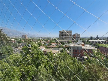Imagen 8
