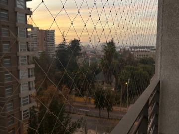 Imagen 13