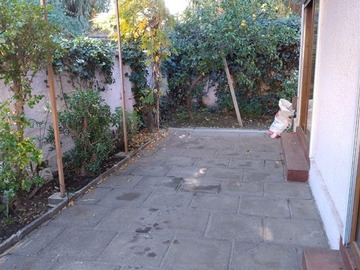 Imagen 16