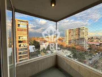 Imagen 6
