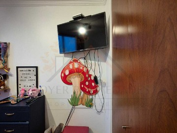 Imagen 15