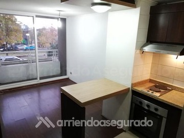 Imagen 15