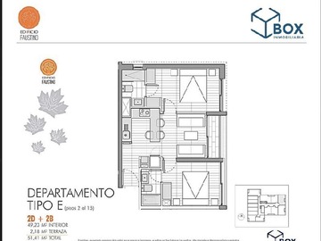 Imagen 11