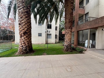 Imagen 10