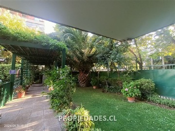 Imagen 26