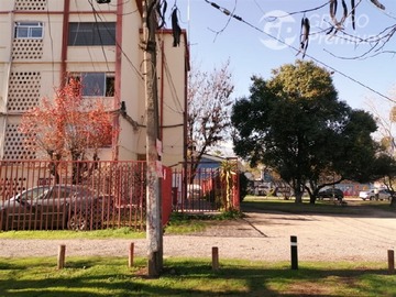 Imagen 15