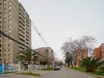 Imagen 11