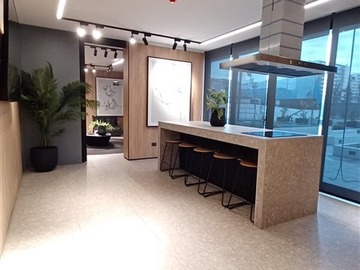 Arriendo Mensual / Departamento / Ñuñoa