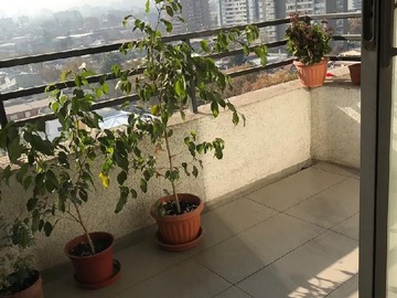 Arriendo Mensual / Departamento / Ñuñoa