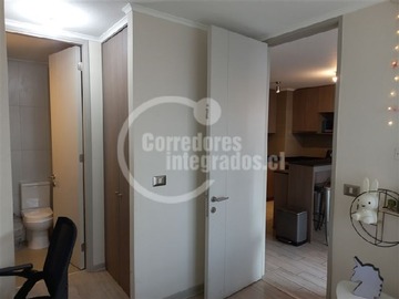 Imagen 19