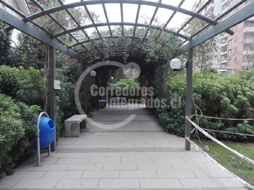 Imagen 16