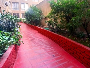 Imagen 12