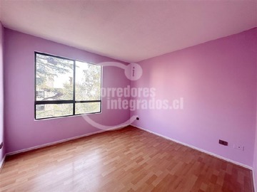 Imagen 12