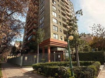 Imagen 11