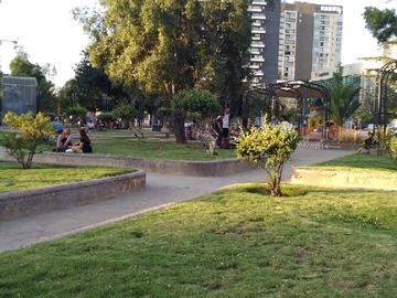 Imagen 11