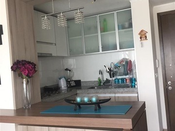 Arriendo Mensual / Departamento / Ñuñoa
