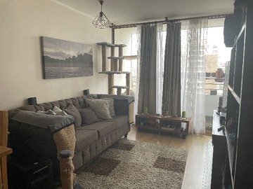 Arriendo Mensual / Departamento / Ñuñoa