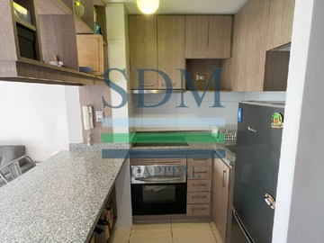 Arriendo Mensual / Departamento / Ñuñoa