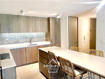 Arriendo Mensual / Departamento / Ñuñoa