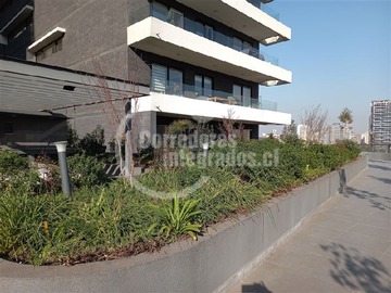 Imagen 35
