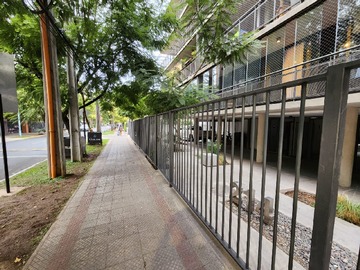 Imagen 20
