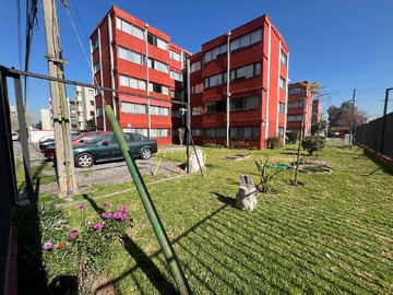 Imagen 15