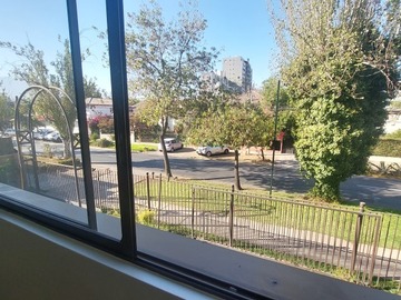 Imagen 15