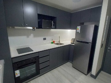 Arriendo Mensual / Departamento / Ñuñoa