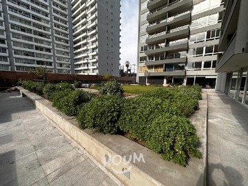 Imagen 28