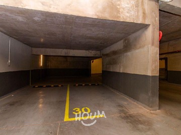 Imagen 20