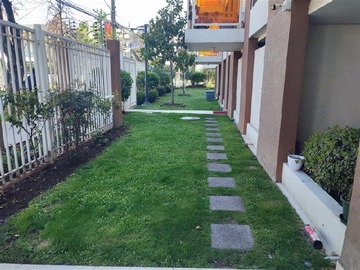 Imagen 15