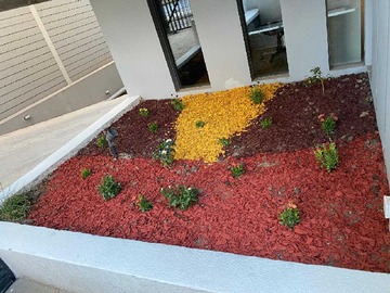 Imagen 13