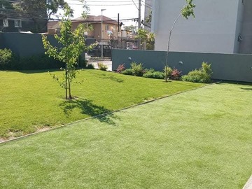 Imagen 7