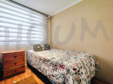 Imagen 12