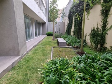 Imagen 6