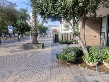 Imagen 16