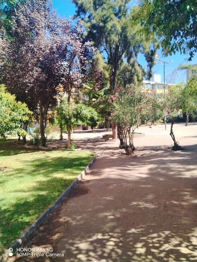 Plaza interior