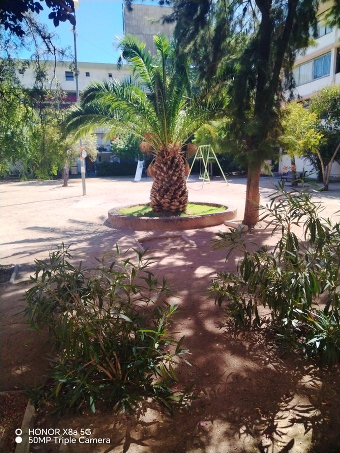 Plaza interior cerrada