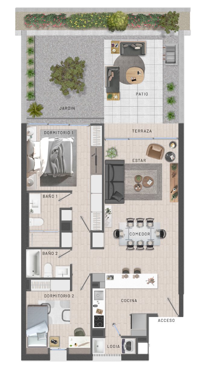 Planta Ilustrada