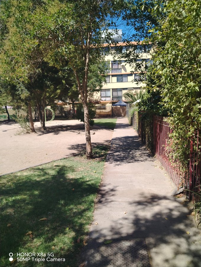 Espacios comunes áreas verdes