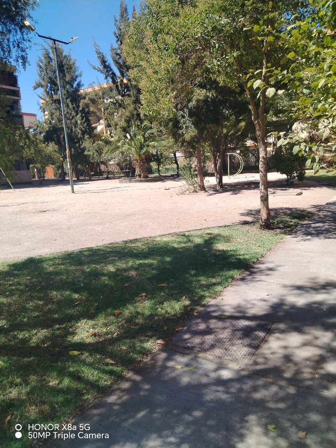 Áreas verdes interiores