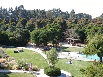 Imagen 12