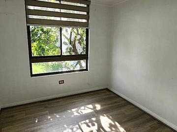 Imagen 7