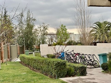 Imagen 19