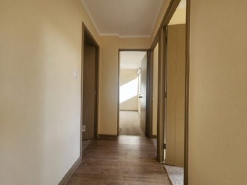 Imagen 6