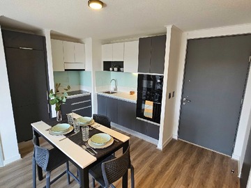 Arriendo Mensual / Departamento / Providencia