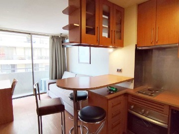 Arriendo Mensual / Departamento / Providencia