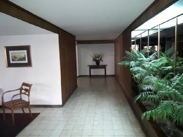 Imagen 6