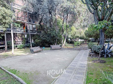 Imagen 15