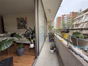 Imagen 7